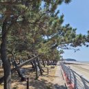 해리농협상하지점 이미지