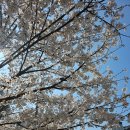 도담공원 화장실 이미지