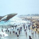 <경계에 서다> 이미지