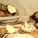 서산상회 이미지