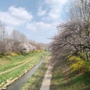 반월1교 이미지