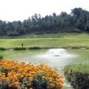 대덕연구단지체육공원 이미지