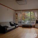 안골농원 Daum카페