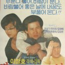 바람불어좋은날 이미지