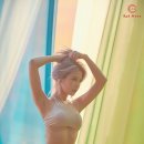 해솔라