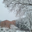 다사랑공동생활가정 이미지