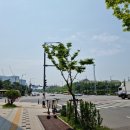 고덕대박공인중개사사무소 이미지