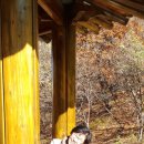 옹기테마공원 이미지