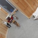 딱지애견샵 이미지