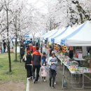 동해시-43 이미지