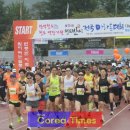 청도군-15 이미지