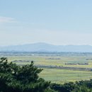 경지양돈 이미지