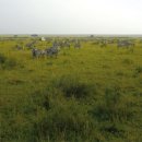 푸름공원 이미지