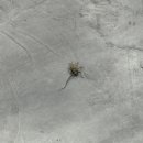 엔마트 증평점 이미지