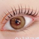 오니리크 이미지