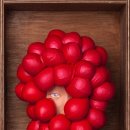 나의라임약국 이미지