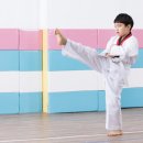 가동태권도 이미지