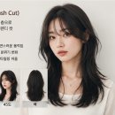 헤어트렌드 티스토리