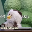 딩동댕 이미지
