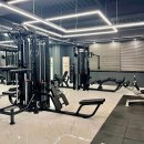 스테디휘트니스안일점
