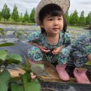 별하농장 이미지