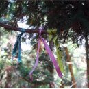 하늬목장 이미지