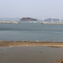 제부도공인중개사사무소 이미지