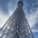 SKY쇼핑몰 이미지