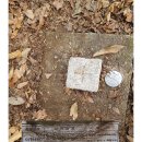 대대리마을회관 | 태화산,마구산산행.