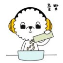 김동물병원 이미지
