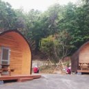 초안산 캠핑장 이미지