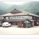 함병현김치말이국수주