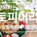 행잉플랜트 공기정화식물체험 이미지