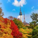하늘숲 - 가평군 멱골로 121 | 하늘숲