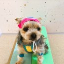 하률로12번길 이미지