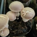 청흥농장 이미지