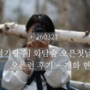 [경기 광주 ] 화담숲 오픈런 후기 : 벚꽃은 없었다...