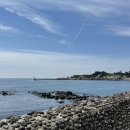 남원읍 공천포식당 동쪽 | 제주 서귀포 공천포식당 블루리본 현지인 전복 물회 맛집 내돈내산 후기