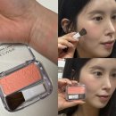 세잔느 | 돈키호테 추천템 화장품 쇼핑리스트 웜톤 쿨톤 상관없는 세잔느 블러셔 10호 발색 후기