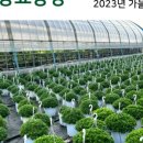 남사농장 이미지