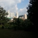 광주효덕초등학교 Daum카페