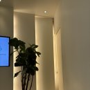 사랑니를부탁해구강악안면외과치과의원 이미지