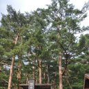 대승목장 이미지