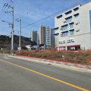 선산대로-50 이미지