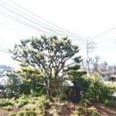 진위역 | 사리당/평택한옥카페/진위역카페추천/평택사리당