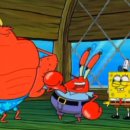 집게리아 이미지