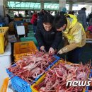 동해-단속-22 이미지