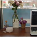 컴퓨터천국 이미지