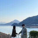 청풍황금송어 이미지