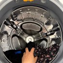 세탁매니아 | 1석 4조! 메종드하우스 검은옷세제 후기, 물빠짐 걱정 끝낸 세탁세제추천